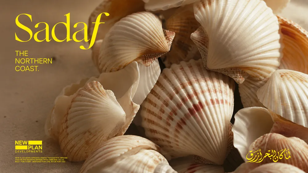 صدف الساحل الشمالي