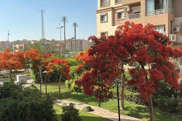 شقة للإيجار في مدينتي B6